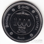 - 1000  2008 50  