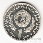  1  1981 