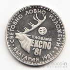  1  1981 