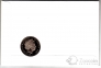  5  2009 -  -  (  )