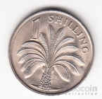 ������ 1 ������� 1966