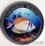 Палау 1 доллар 2009 Тропическая рыбка (2)