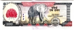 1000  2008