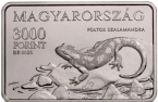  3000  2025    -   