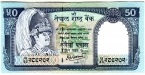  50  2000