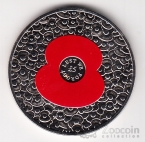 ������ 5 ������ 2014 ������ ������� ����� - ���� ������